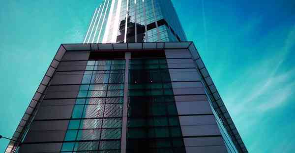 手机免费梯子app